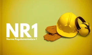 Gestão de Risco NR-1